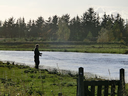 Skjern Au _ Oktober 2012 - 076