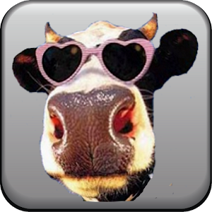 Free Silly Ringtones 5.7