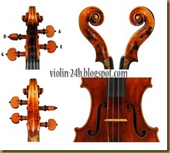 violin peg