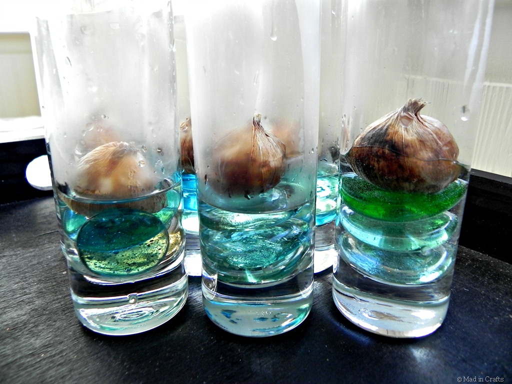 [add-warm-water71.jpg]