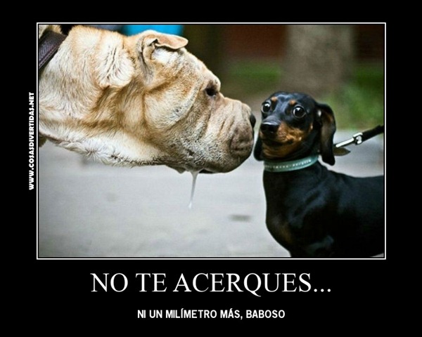 [BABOSO%2520COSASDVIERTIDAS%25201%255B3%255D.jpg]