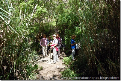 5496 La Laguna-Vueltas Acero-Firgas 5496 La Laguna-Vueltas Acero-Firgas