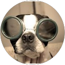 Jerome Hayes profile picture