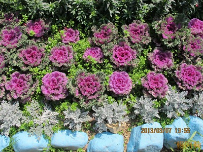 2013 恩愛農場 - 092