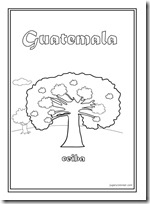 ceiba guatemala 2 1[2]