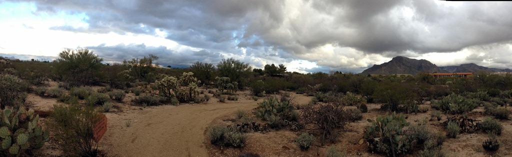 [desert-trail-panorama-1-28-2013-8-09%255B2%255D.jpg]