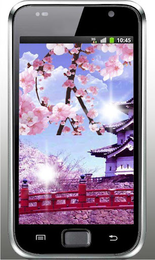 Sakura Garden HD livewallpaper