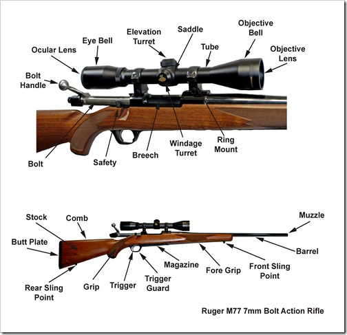 Ruger M77 7mm Rifle Nomenclature