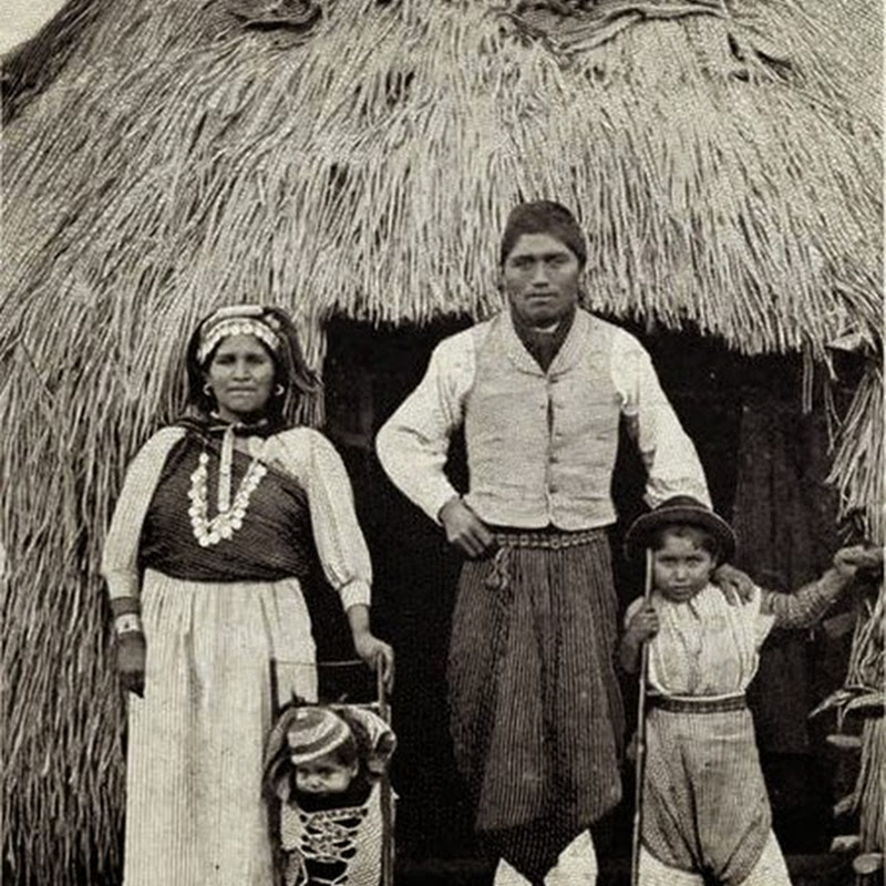 I Mapuches: origine, suddivisione territoriale ed etnie.
