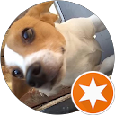 Donald Hogseds profile picture