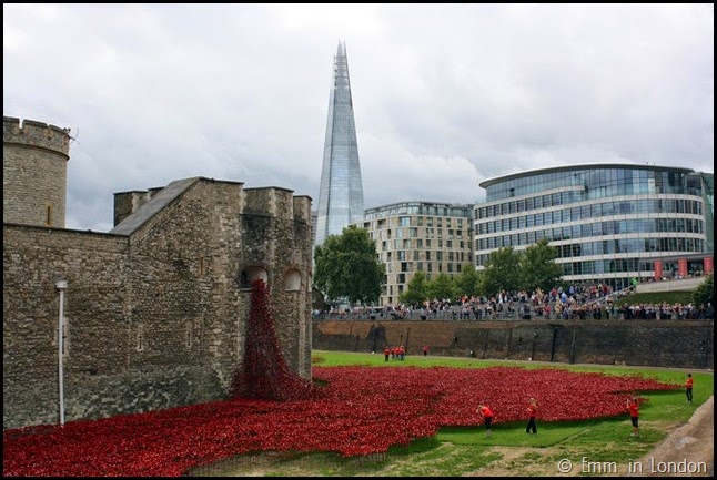 The Tower, the Shard and the Poppies
