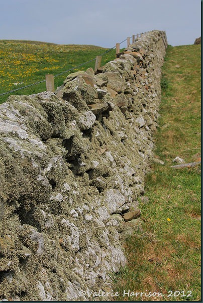61-stone-wall