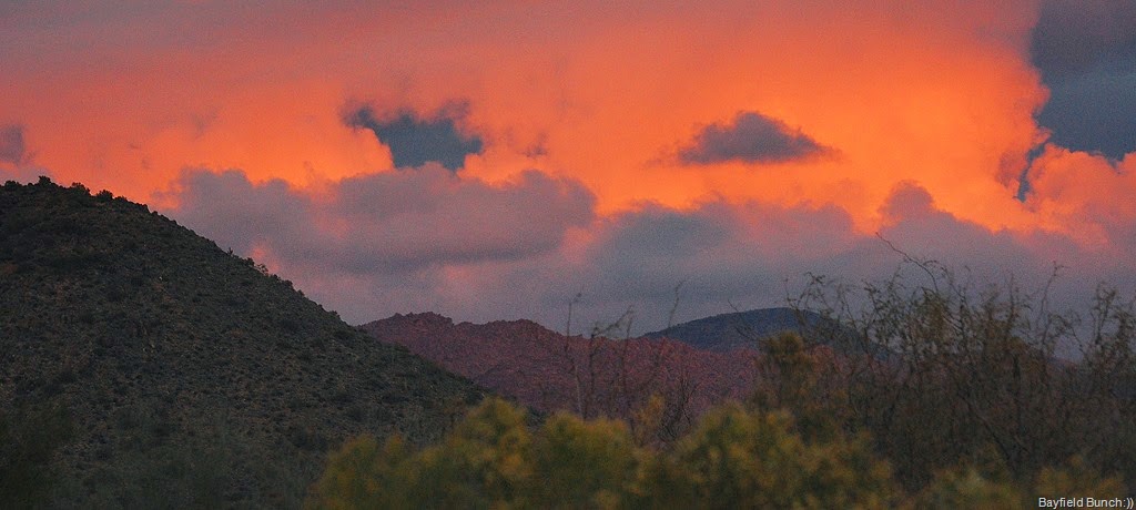 [DSC_2846%255B3%255D.jpg]