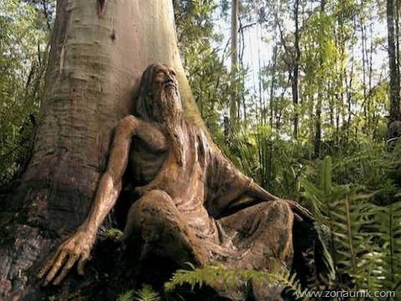 beautiful-wooden-sculptures14