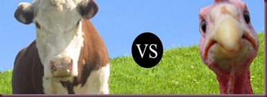 cow-vs-turkey