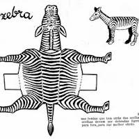 zebra.jpg