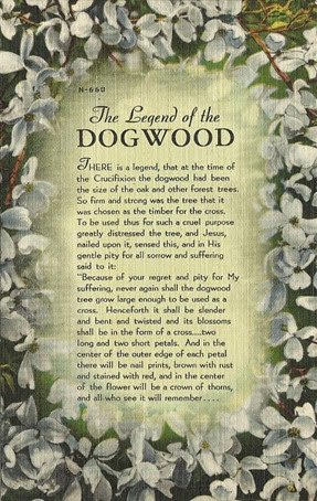 Dogwood (3)