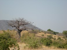 DSCN5951.JPG