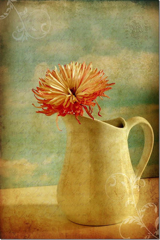 jug with Georgianna texture for web