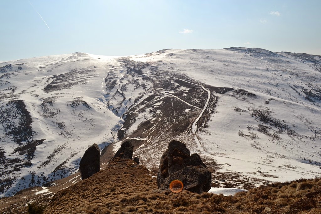 [DSC_59943.jpg]