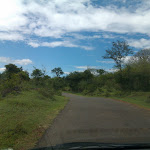 OK, here is the thing! Humans are really really nuts. The guy who drove in front of us passed an elephant that was peacefully grazing on the roadside. He reversed his vehicle to scare it. It started running towards us! Already I was feeling a bit 'low' in the small car and when we saw the giant, I can't explain how low we felt! We went reverse in full speed. Thankfully the elephant gave up the chase very soon. IMAG1452.jpg