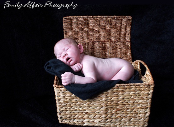 Tacoma Newborn Portrait Photographer - 6