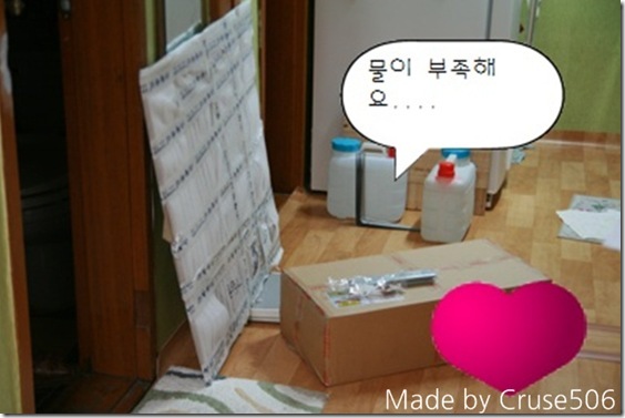 Gallery3916_1