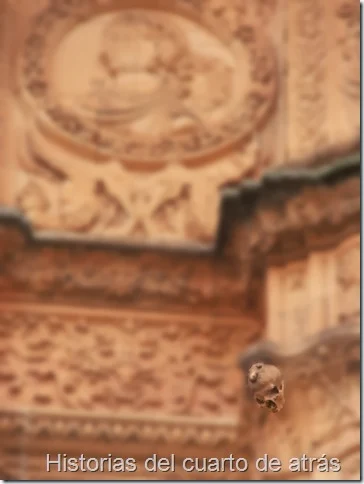 rana fachada universidad de Salamanca