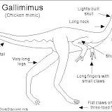 Gallimimus_bw.gif.jpg