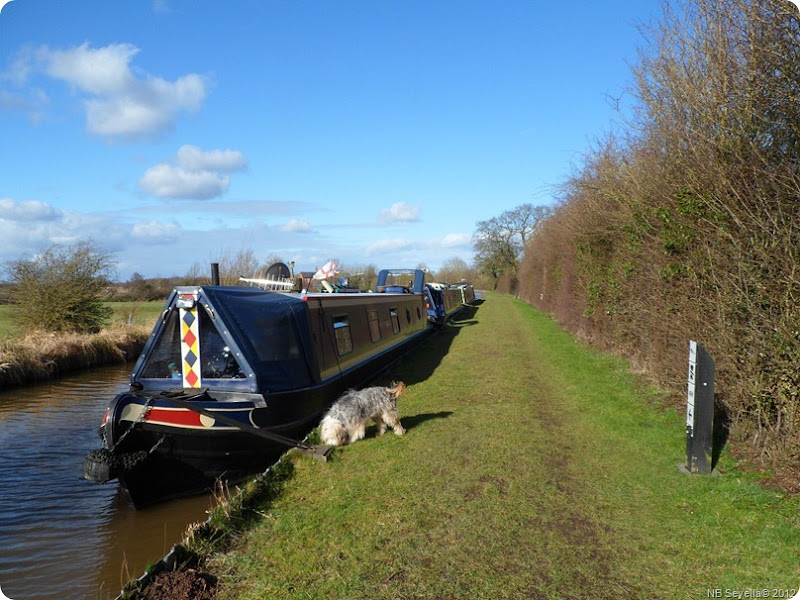 SAM_0038 Moored on Prees Branch