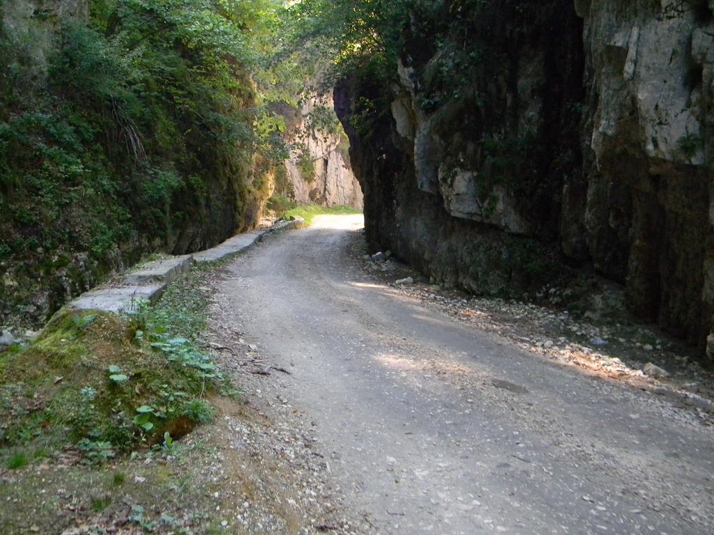[DSCN53123.jpg]