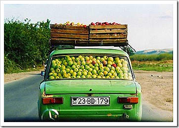 Apple car