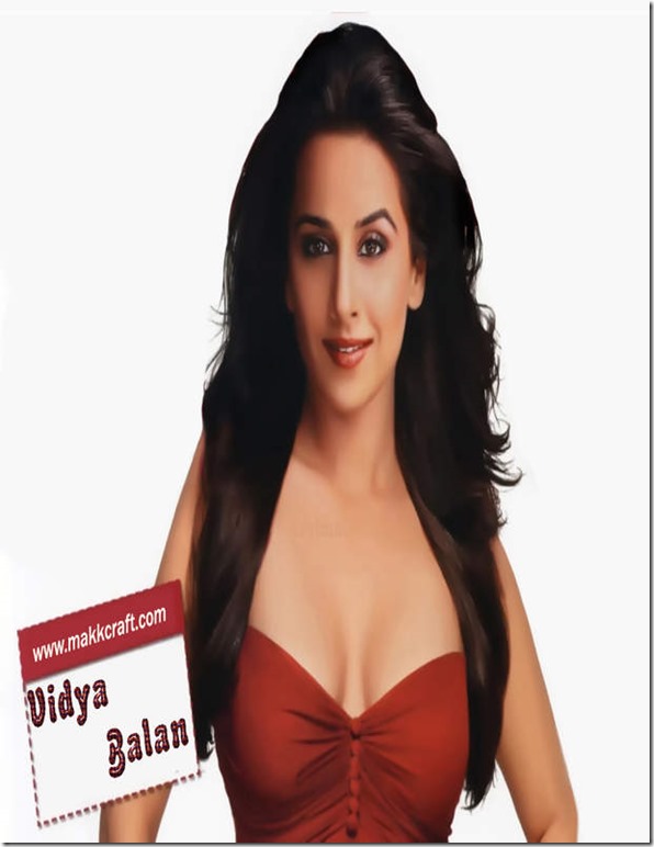 vidya balan extremely hot (9)