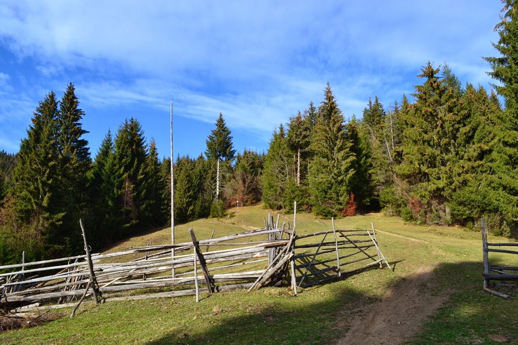 [DSC_00593.jpg]