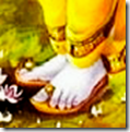 Lord Rama's lotus feet