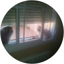 Virgi rodriguez molina