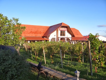 Drumul vinului -Basarabia: Podgorie Orhei