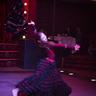 IMG_8626.JPG