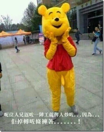 Winnie the Poo costume