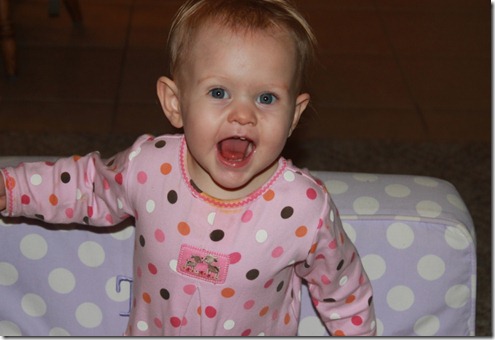 IMG_8625 IMG_8625