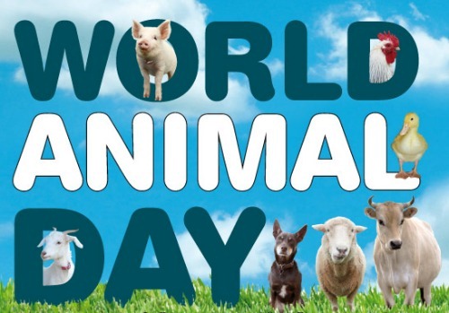 [World-Animal-Day%255B4%255D.jpg]