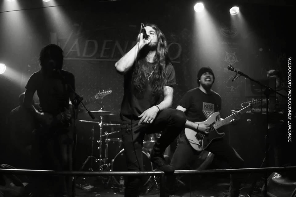 [1239011_453378984774718_968037320_n%255B4%255D.jpg]