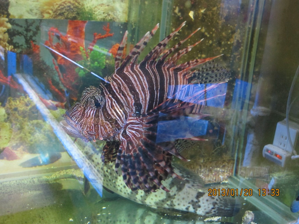 [1020120%2520%25C2%25B1%25C3%25AE-097.jpg]