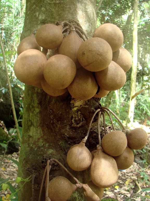 [Kepel3%255B3%255D.jpg]