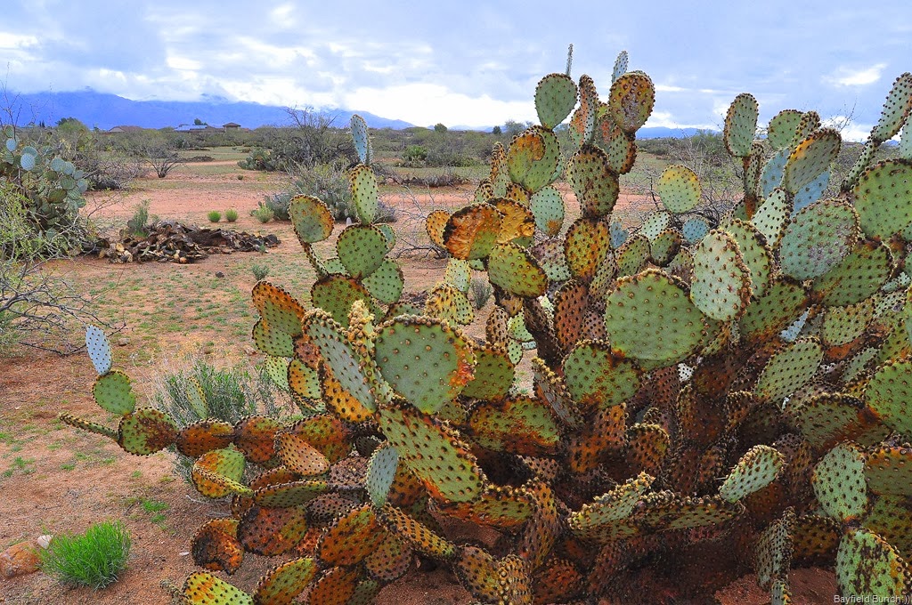 [DSC_0002-002%255B4%255D.jpg]