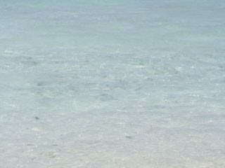 上 壁紙 キラキラ 海 131910-キラキラ 海 壁紙