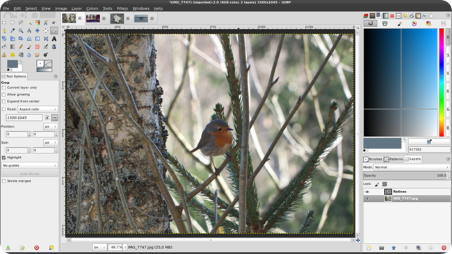 GIMP_2.8 bird