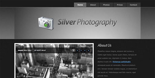 Silver Photography | Photo Template - ThemeForest Item for Sale