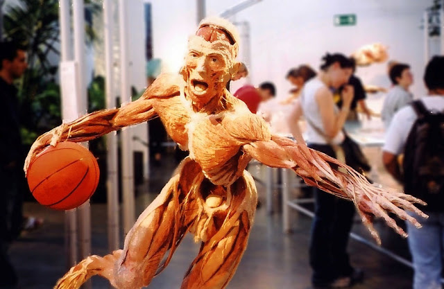 Gunter Von Hagens - 1.jpg