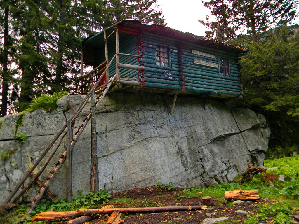 [DSCN10503.jpg]